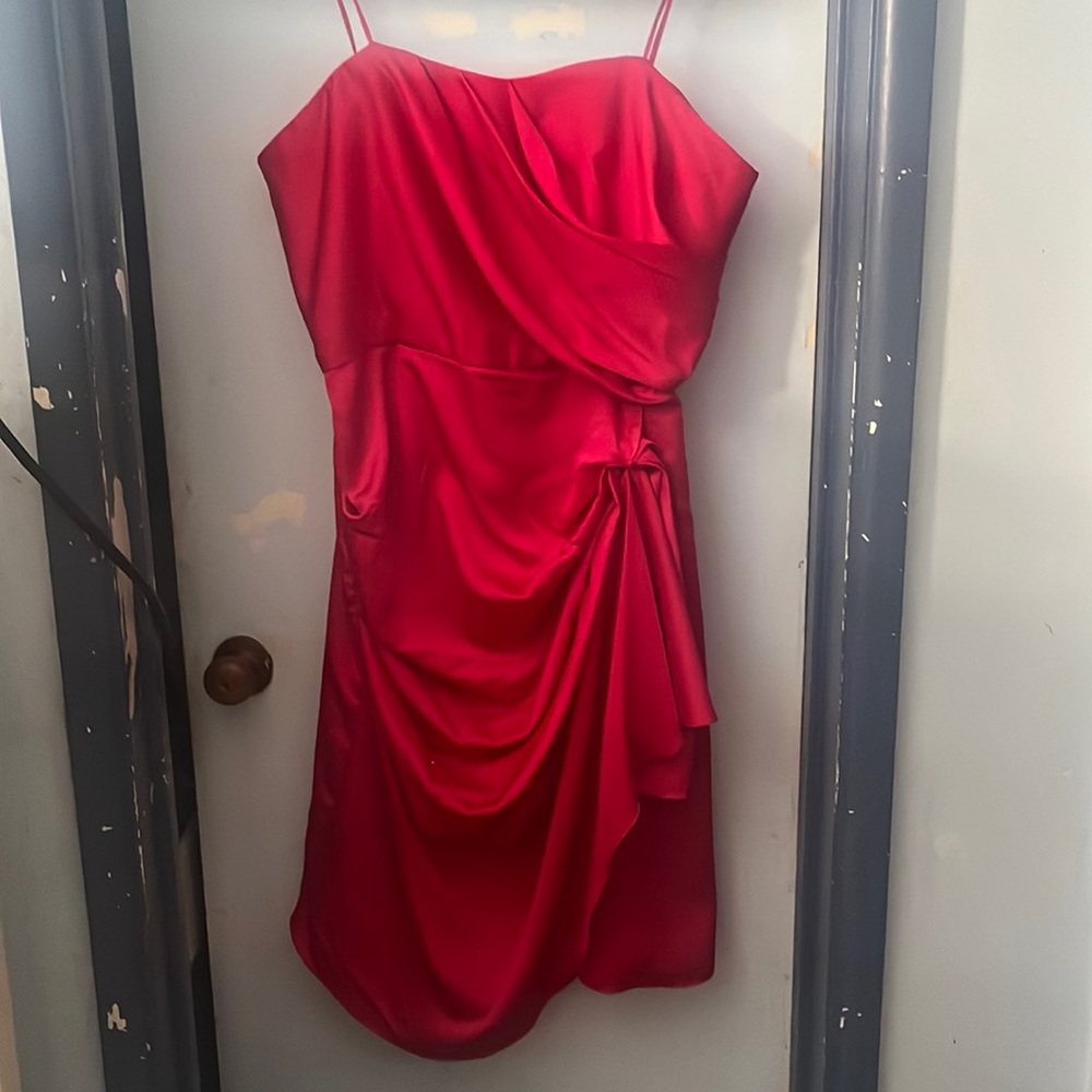 Maxandcleo silk dress. Never worn. Rose color originally priced at $110